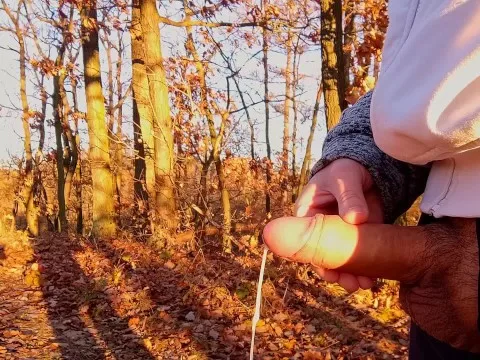 IamHornyBobo's rash lead masturbation