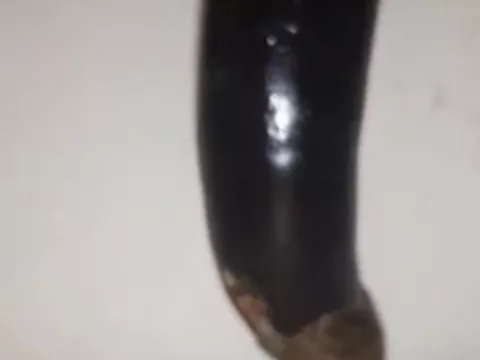 Turkish detached eggplant
