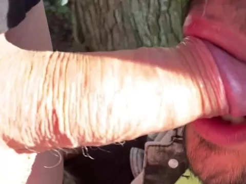 blowjob thither the wood